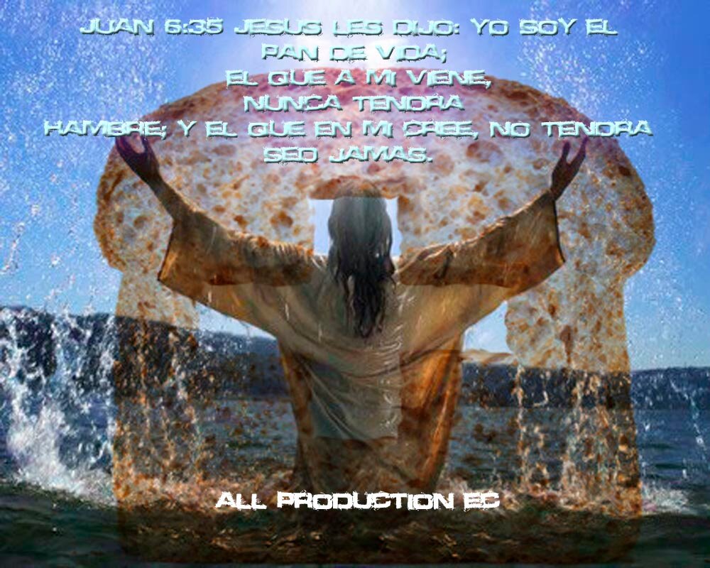 dectector02's profile picture. 