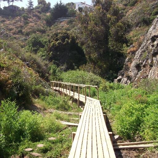 JaimeSeguraC's profile picture. 