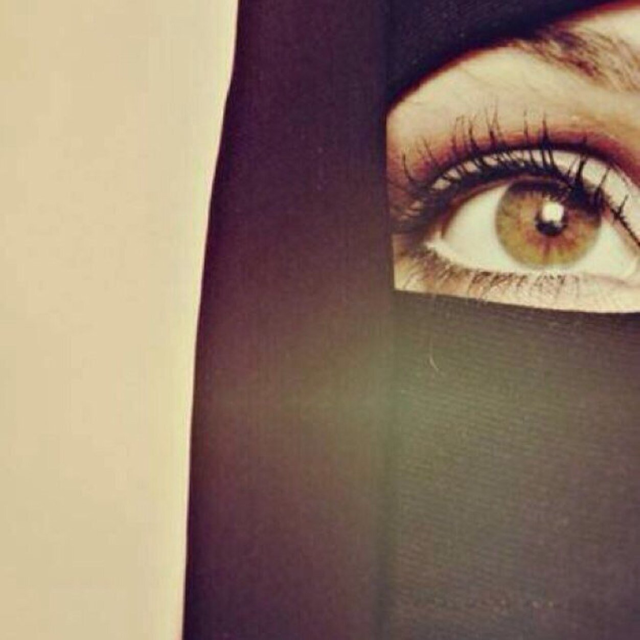 _Reconversion's profile picture. 