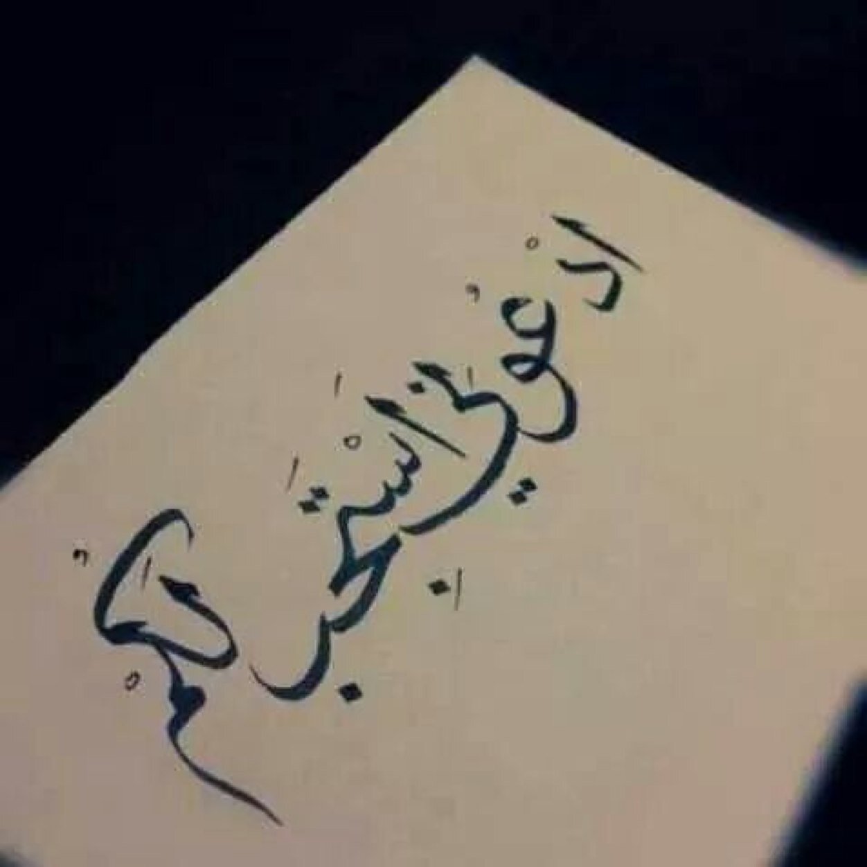 حساب عشائر النبهان الرسمي من شمر بالسعودية و الكويت النبهان_الرخيص_الخمسان_الخشرم_الضو_الشمروخ_التبنه