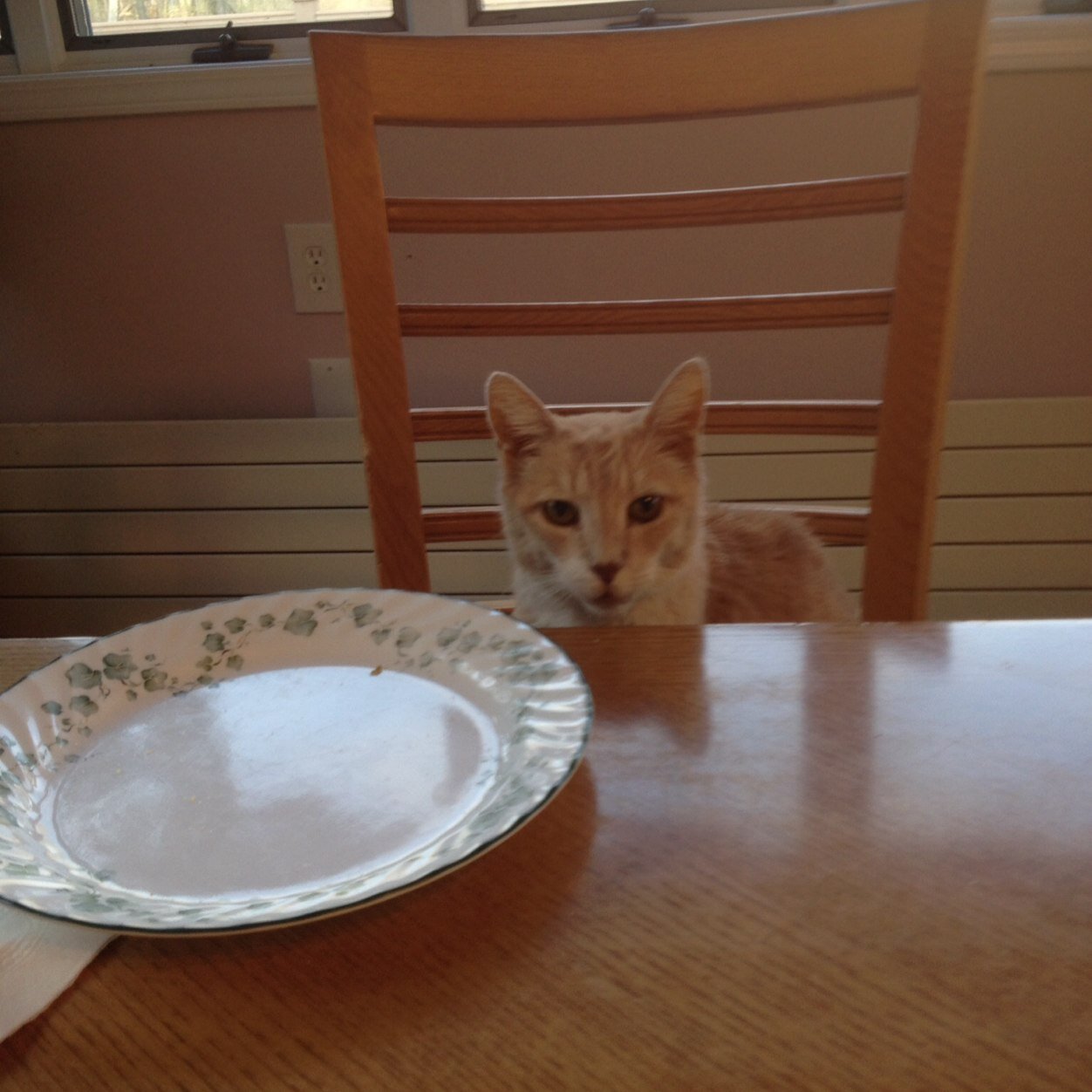 BenLohrke7's profile picture. 