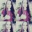 OzdeKavraz's profile image