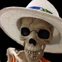 out twitting (@outtwitting) 's Twitter Profile