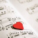 Mary Carrozza - @carrozza37 - Twitter