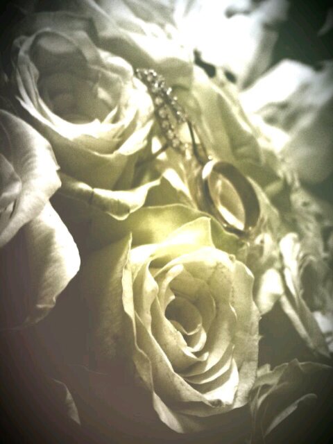 loloalymaniy's profile picture. ..أنا وحيدة أمي. ... أنا انثـــــــــى حيرت الجميع لآني أعرف بنفسي,,, فكرامتي عنواني,,,لا تطال.. أنا انثـــــــى أسير لمن يحبني ,,,عزيزة امام من يذلني ^ـــ^