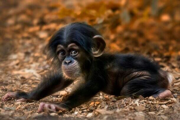 krikkia89's profile picture. 