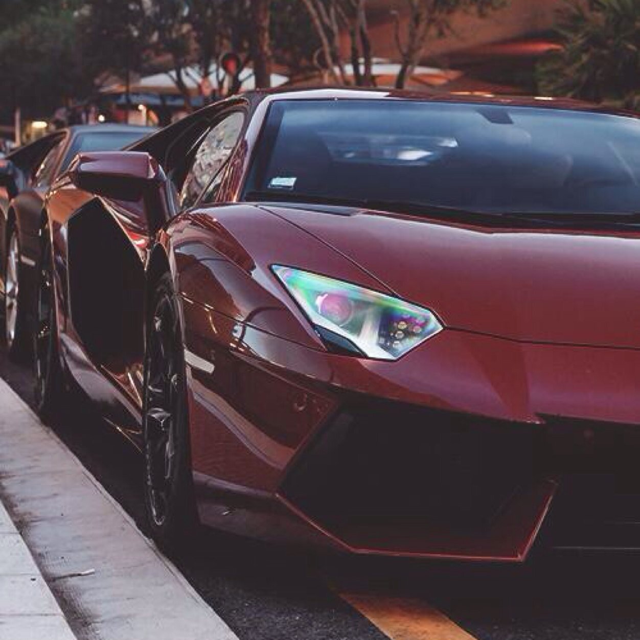 Exotic•Super•Muscle•Tuner