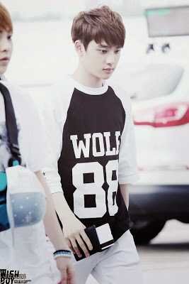 New Owner | 93L EXO D.O