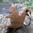 BirchCottageHQ's profile image