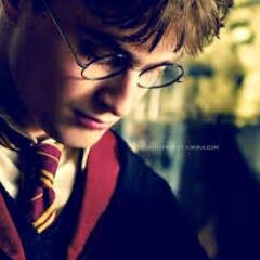 Gryffindor.Sobrevivio a la maldicion asesina.Trío de oro,Ron y Hermione los mejores amigos.Hogwarts.Quiditch.Ginny3.#PotterRunes.