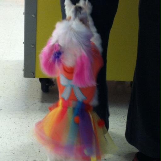 manchester1176's profile picture. 