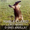 danys martinez - @danysmartinez35 - Twitter