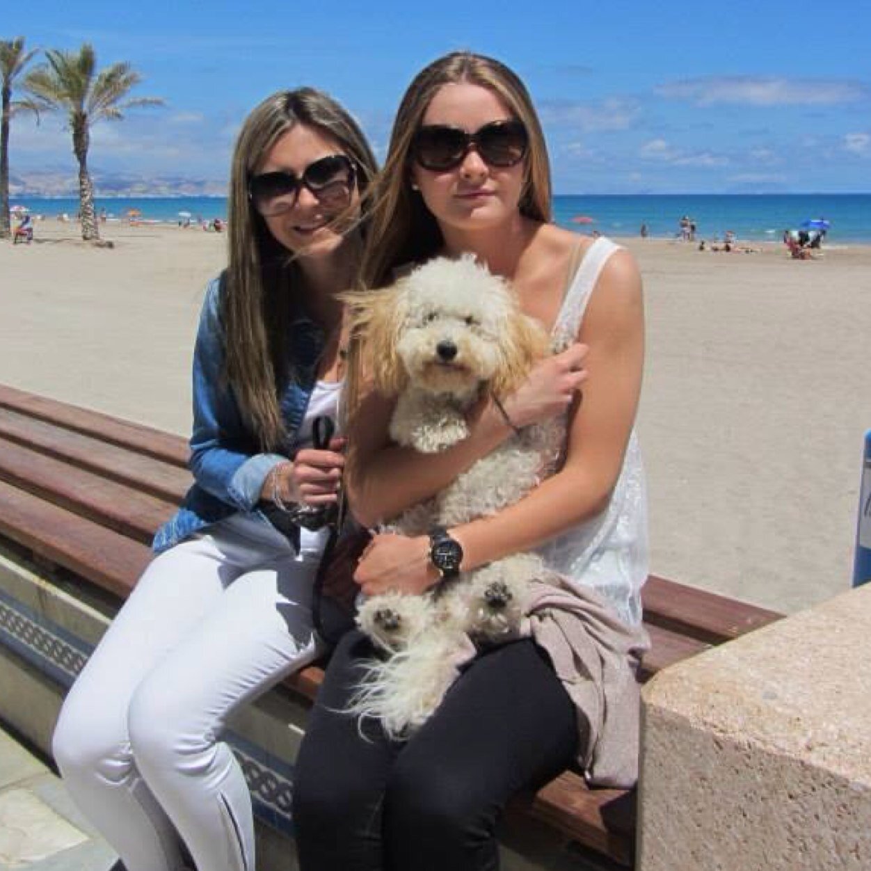 vicanizares's profile picture. Estudiante de Odontología en la Universidad Europea de Madrid.