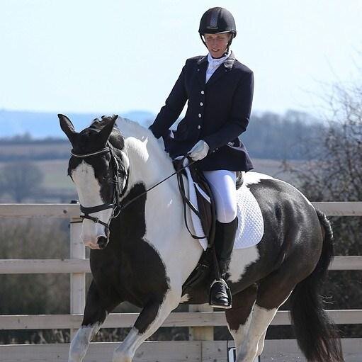 I school horses in flatwork, dressage and show jumping - believing that every horse and rider can reach their full potential.