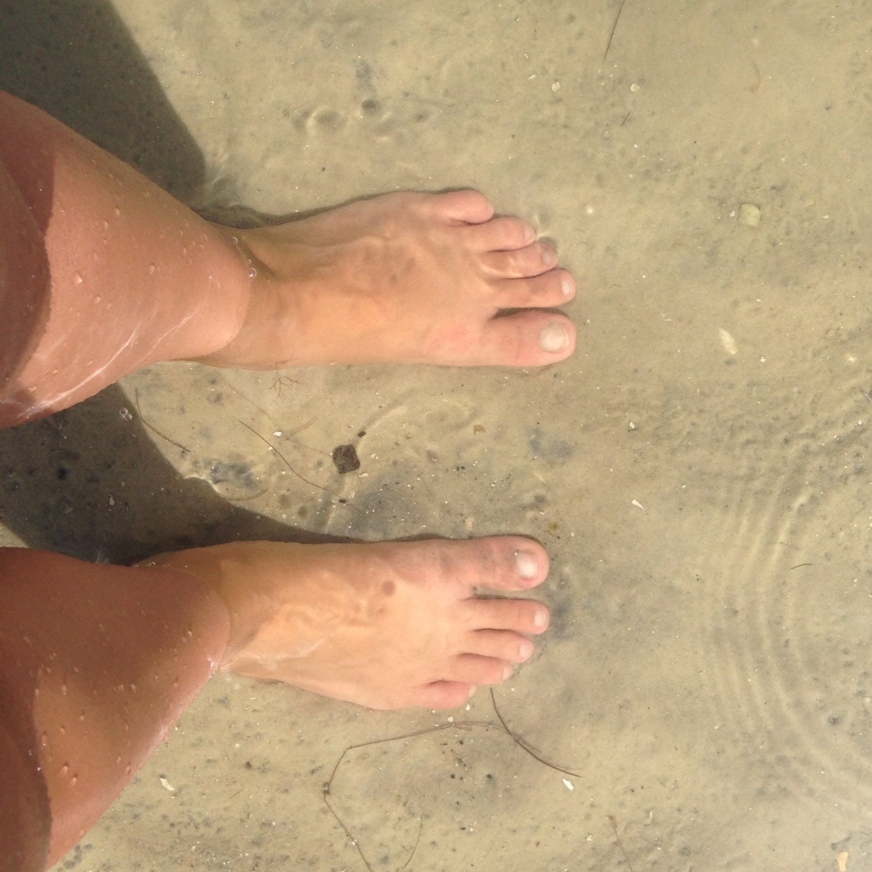 andreaptv's profile picture. 