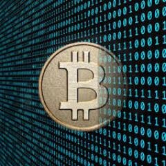 cryptobosspumper@gmail.com