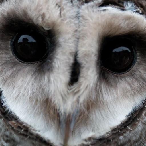 Ce-a mai mare plăcere în viaţa mea, a fost şi este să fac ce-a ce alţii spun că nu pot!