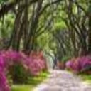 Sheldon Wells - @sheldonw1582 - Twitter