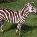 will mayes - @willymakeit98 - Twitter