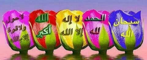 aaa1256a's profile picture. 