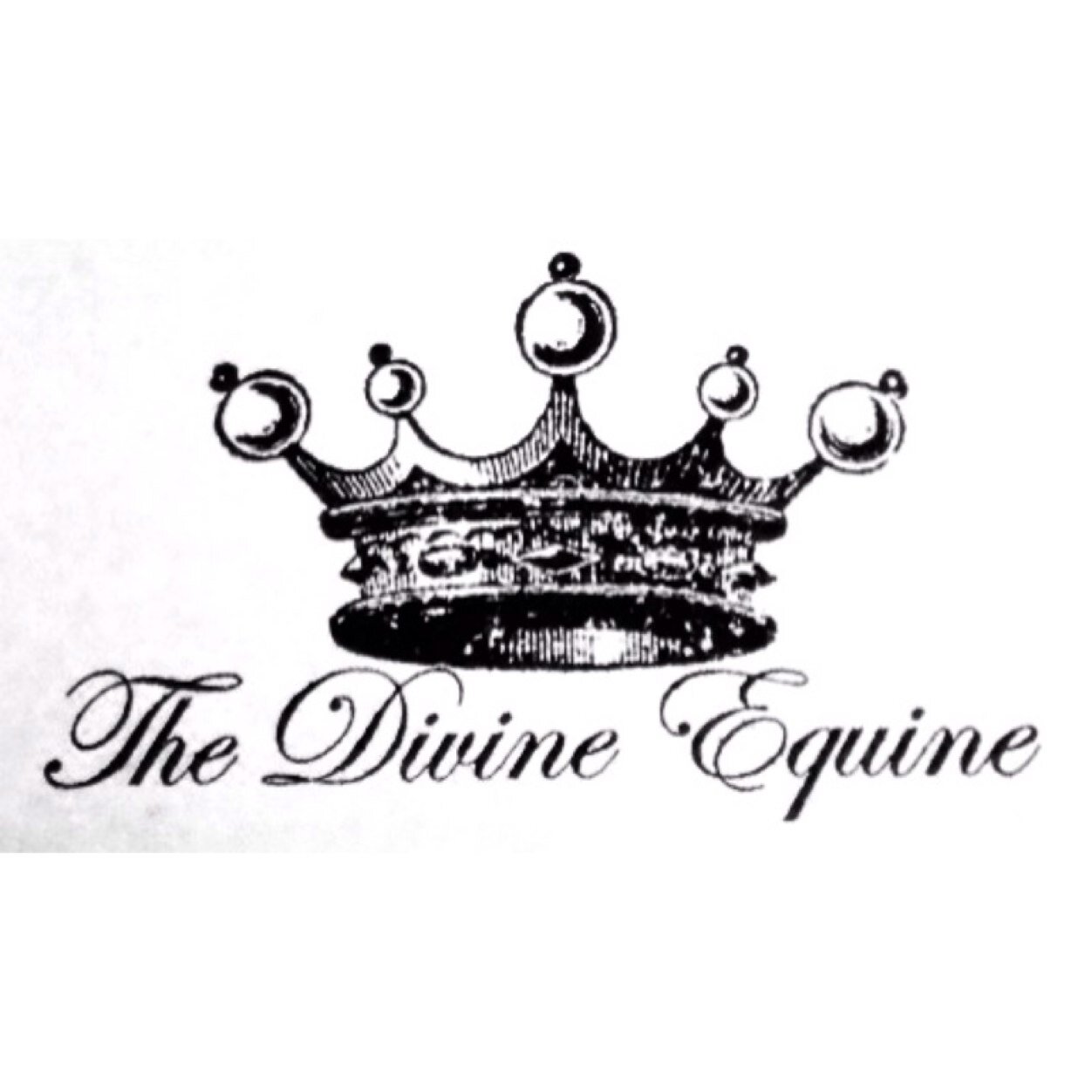 Add a little bling to your ride!
Providing bling for equestrians in and out of the show ring. Contact thedivineequine@yahoo.com with any questions.