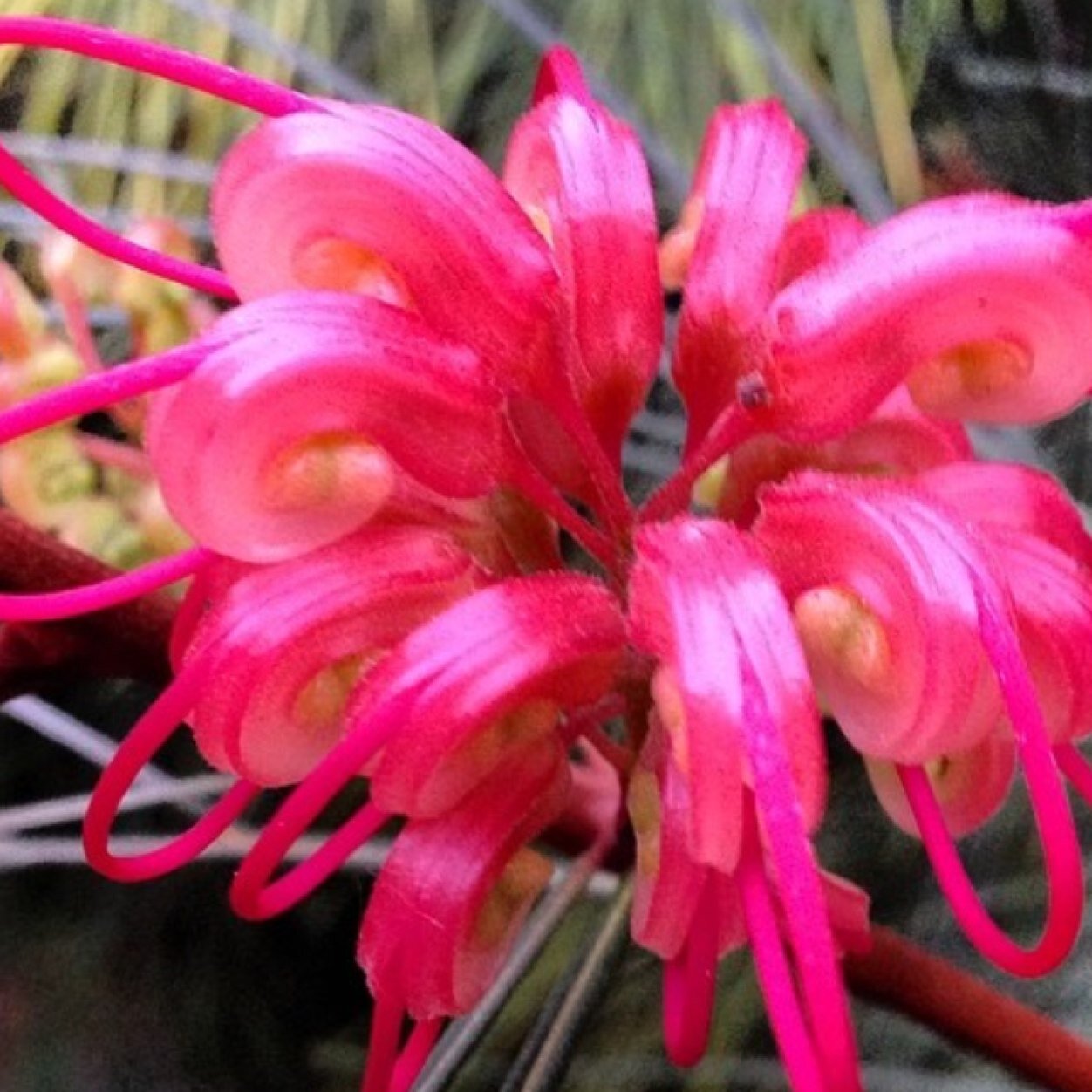 hpcr857's profile picture. 