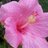 maryam_rajeh's profile image