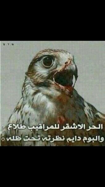 SA06726256's profile picture. ‏‏‏‏‏‏محلل فني  تحليل للاسهم وتحديد الاهداف ونقاط وقف الخساره وجهة نظر ي قابله للصواب والخطأ 
أتمنى لكل من يتابعني التوفيق