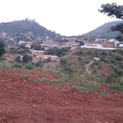 adelabdelal's profile picture. اللهم اجعل مصر فى ضمانك وأمانك يارب العالمين