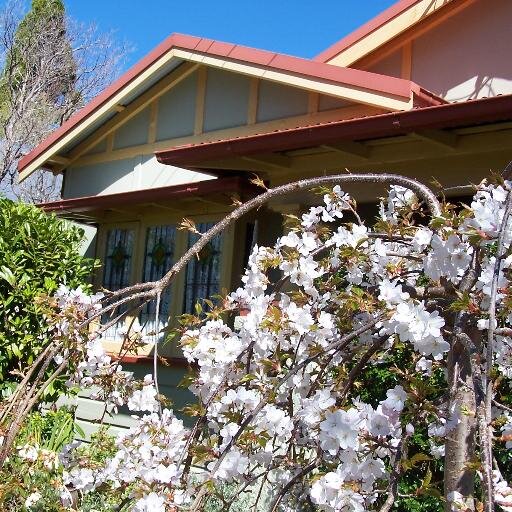 Owner of Shelton-Lea B&B located in Katoomba NSW Australia The beautiful Blue Mountains is awaiting you