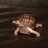 RjMac03's profile image