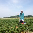 Alison Chung - @Chung_Alison - Twitter