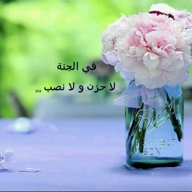 ‏‏‏‏لان تجد اجمل من قلب امك  فهو القلب الوحيد الذي ينسى نفسه دائما ليتذكرك(الخاص ممنوع)
