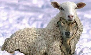 pacogertrico's profile picture. 