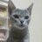 torotoro983's profile image