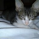 emma coronel - @emmacoronel2000 - Twitter