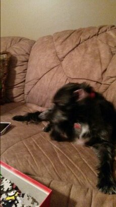 Logan0112's profile picture. 