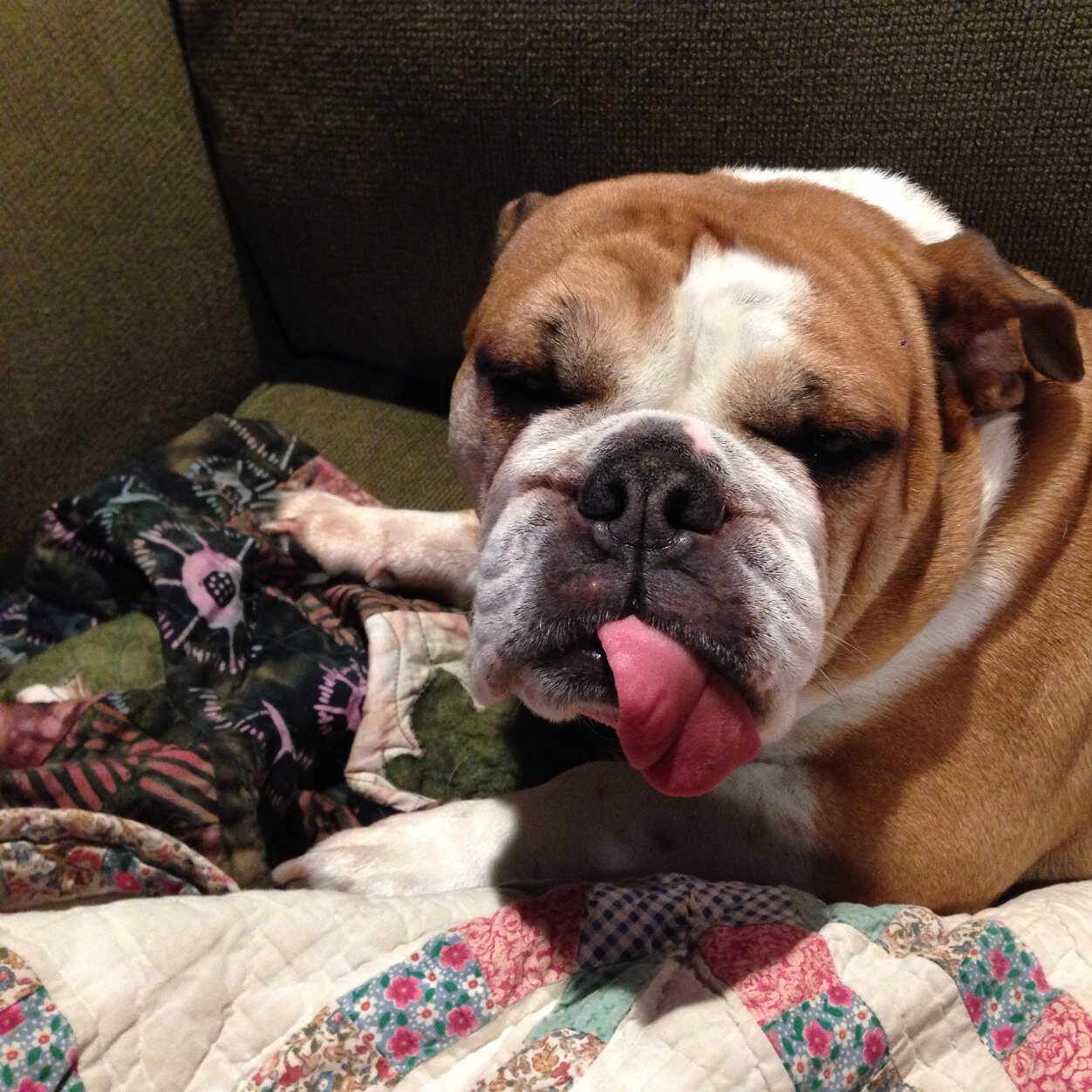 toadkiller75's profile picture. 