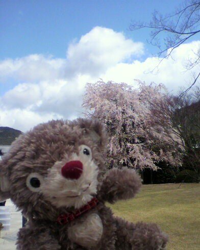 seedleafbrown's profile picture. 