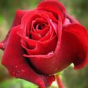 abuyara1234 (@013mansor) Twitter