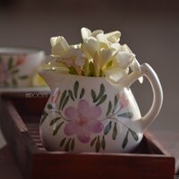 Hadeel Al-Sarraj (@hadeel_alsarraj) Twitter profile photo