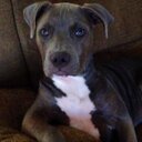 Jason Volk - @Bmx_573 - Twitter