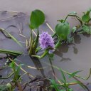 daniel messina - @gringodcm - Twitter