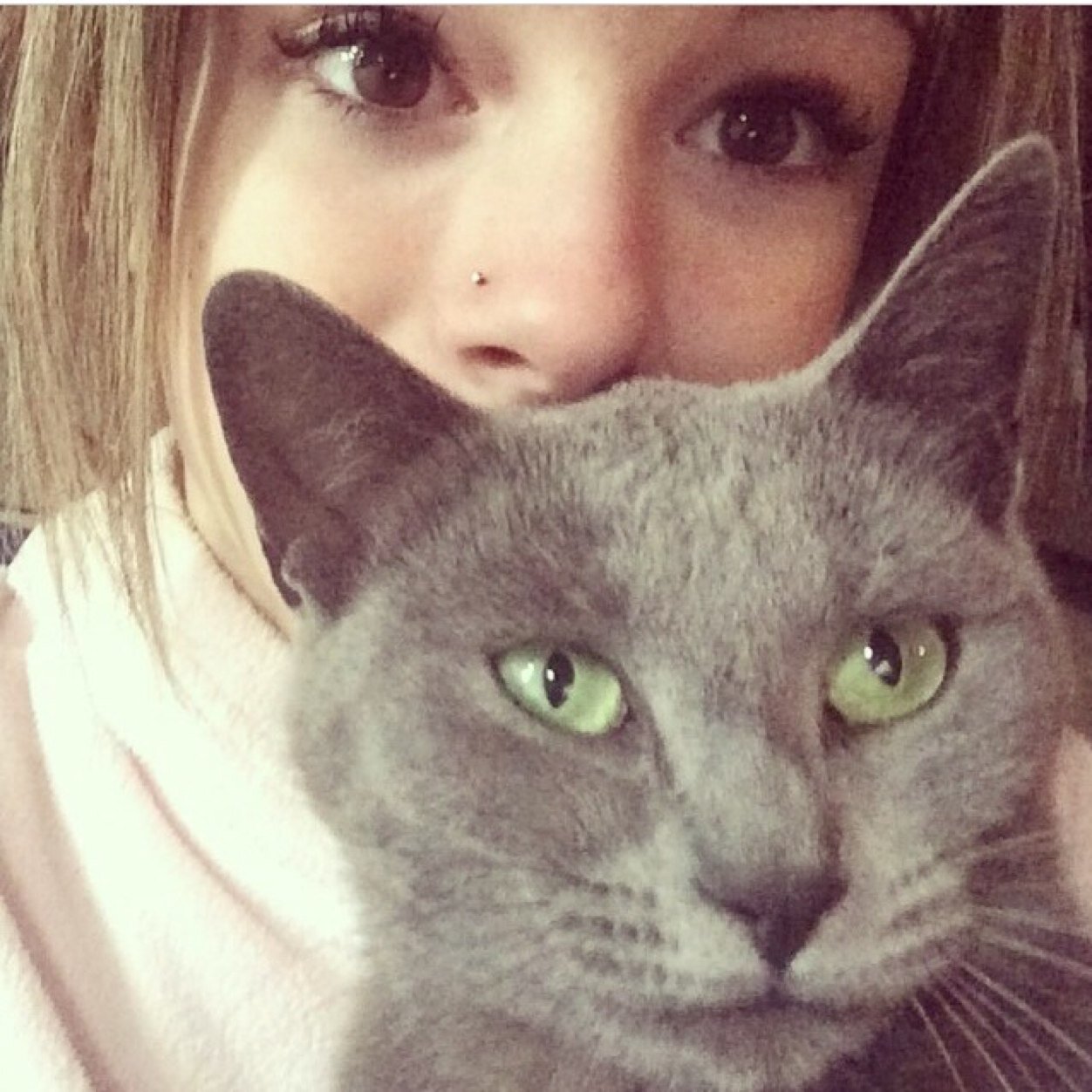 objectsonsophia's profile picture. just a regular cat and an irregular human