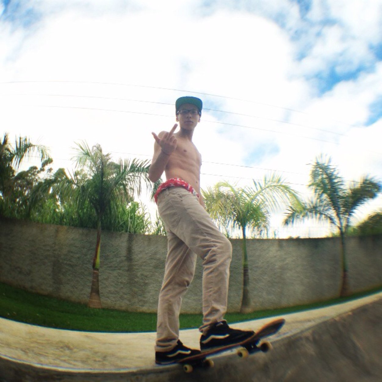 Willopees Profile Picture