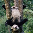 Maxime Benoit Benoit - @MaxBenoitBenoit - Twitter