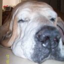 Sergio Limonta - @SergioHLimon - Twitter