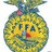 BellevueFFA's profile image