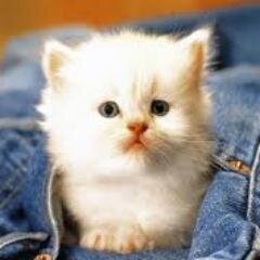 Evaaa_an's profile picture. 