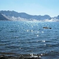 sing a song (@songsongwriter) 's Twitter Profile Photo